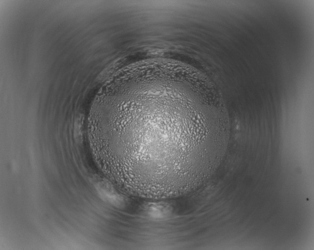 X0000077990275200610271118