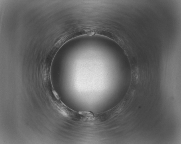 X0000077990276200610271118