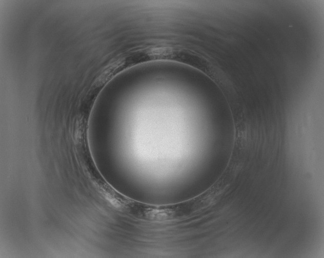 X0000077990277200610271118