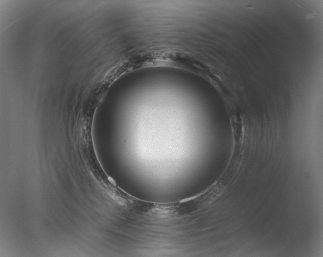X0000077990280200610271118