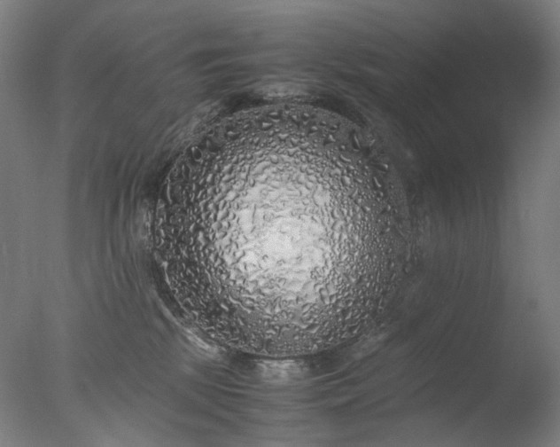 X0000077990281200610271118