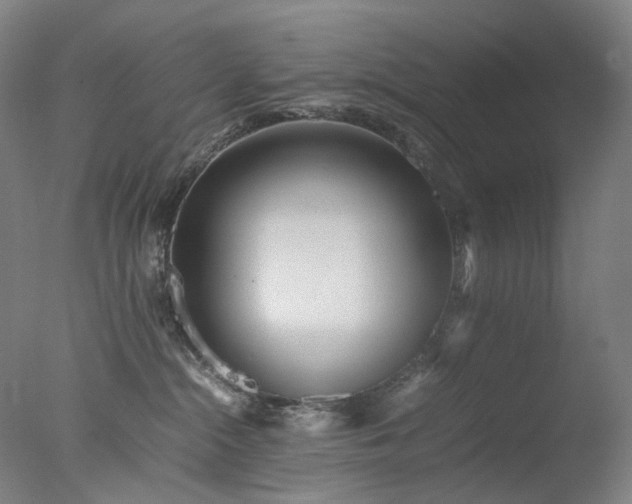 X0000077990284200610271118