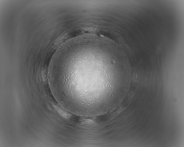 X0000077990285200610271118