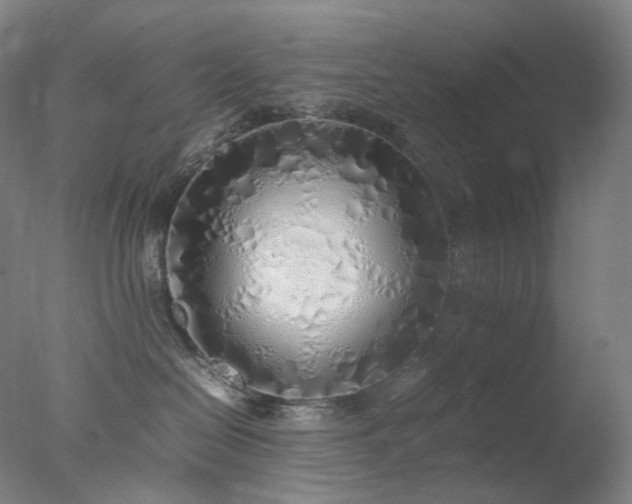 X0000077990286200610271118
