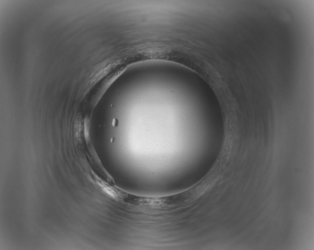 X0000077990288200610271118