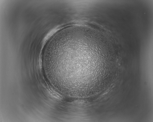 X0000077990294200610271117