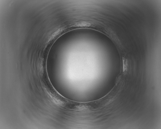 X0000077990300200610271117