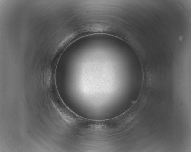 X0000077990304200610271117