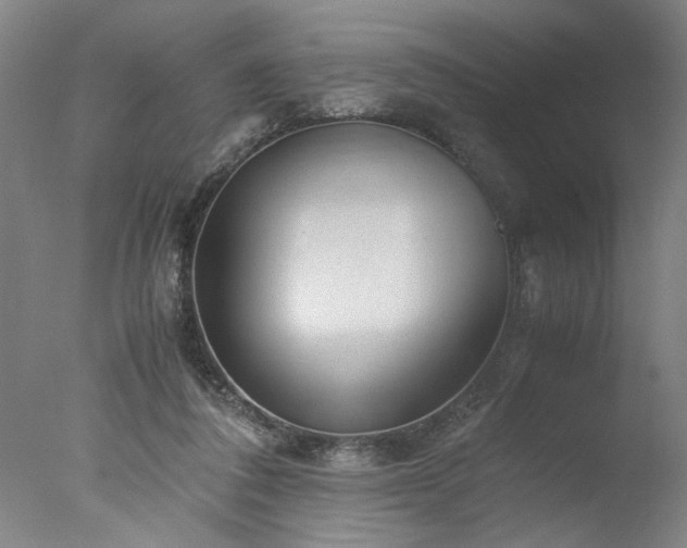 X0000077990308200610271117