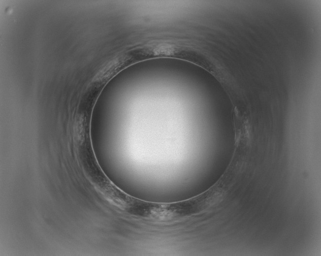 X0000077990311200610271117