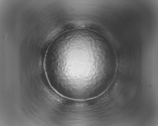 X0000077990314200610271117