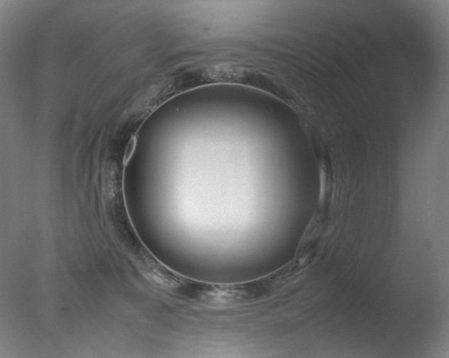 X0000077990323200610271117