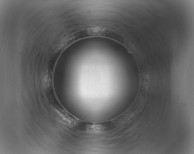 X0000077990324200610271117