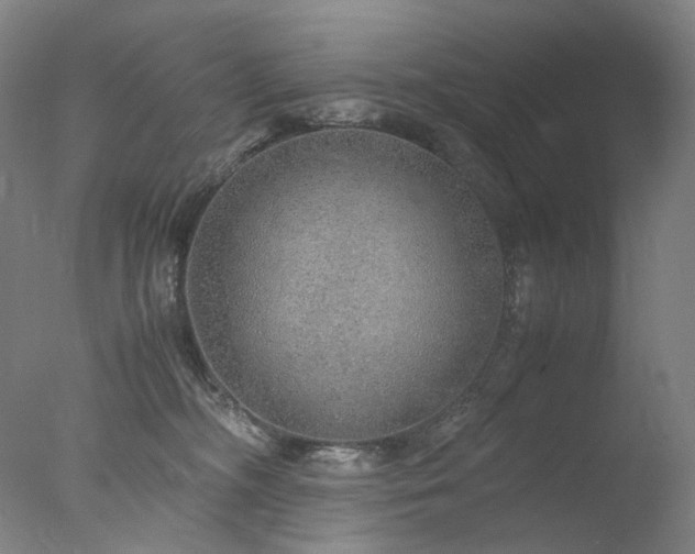 X0000077990326200610271117