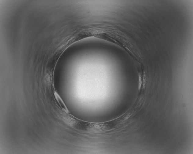 X0000077990329200610271117