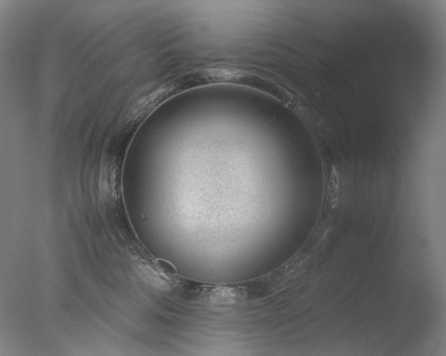 X0000077990330200610271117