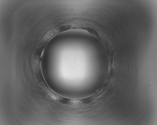 X0000077990333200610271117
