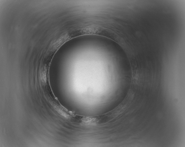 X0000077990334200610271117
