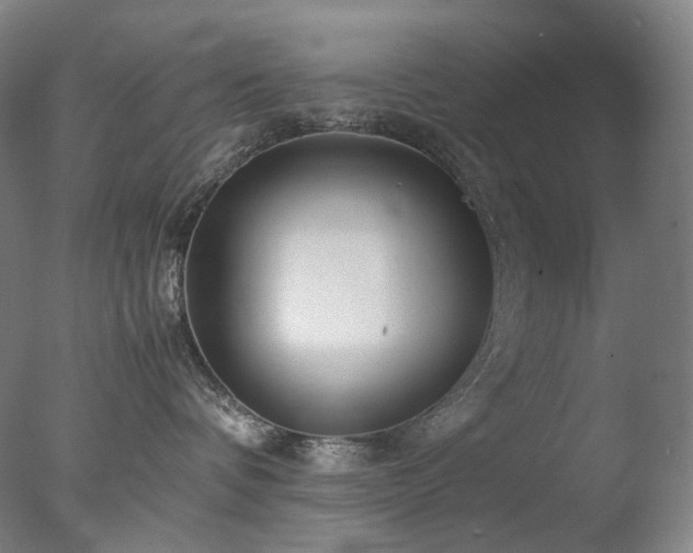 X0000077990336200610271117