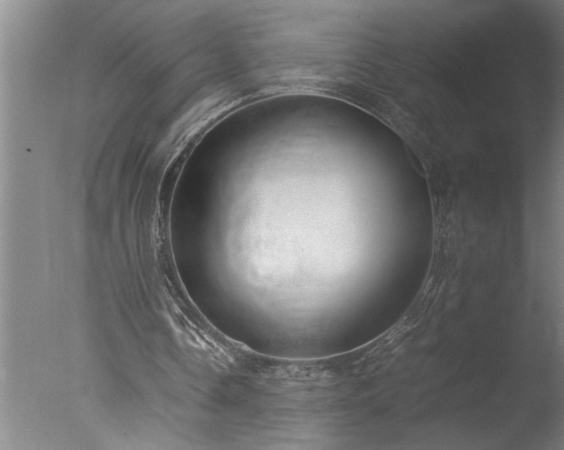 X0000077990338200610271116