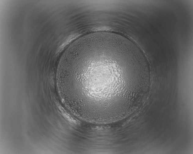 X0000077990345200610271116