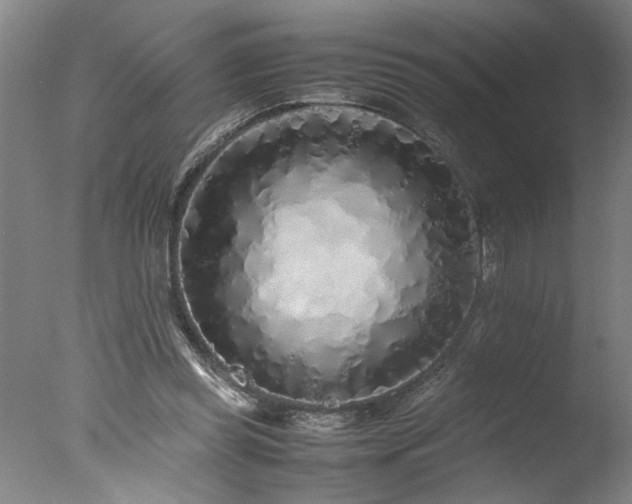 X0000077990349200610271116
