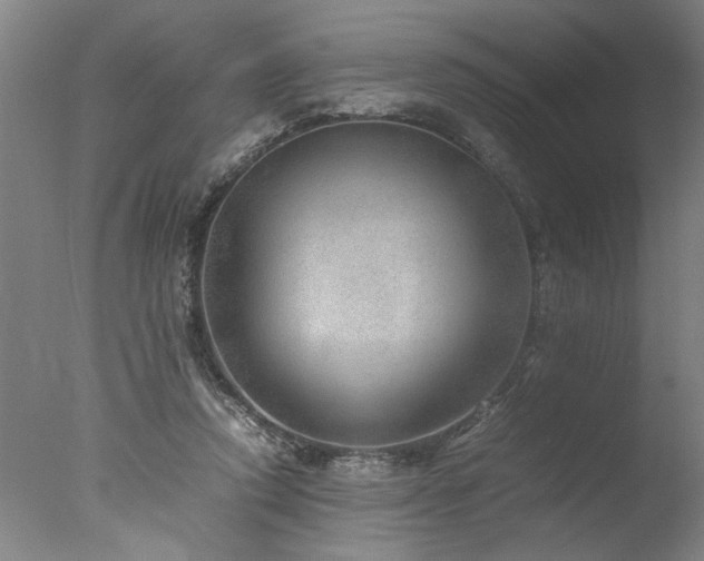 X0000077990354200610271116