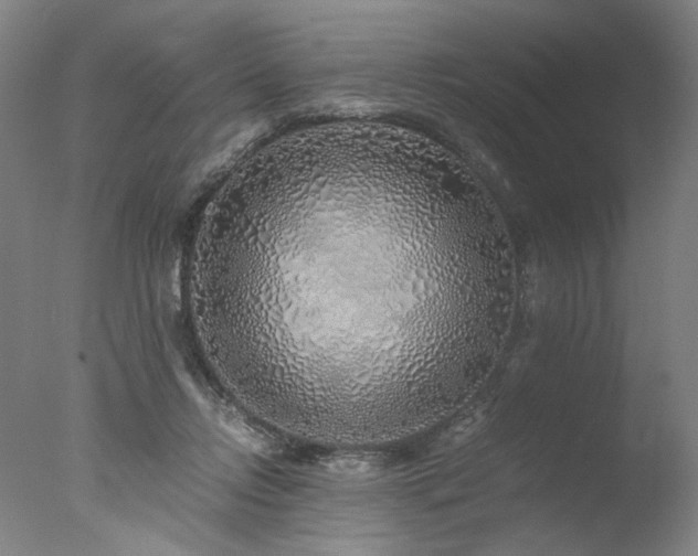 X0000077990358200610271116