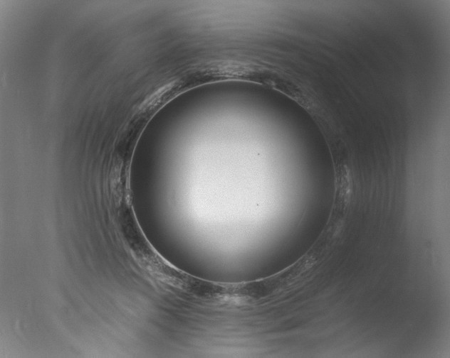 X0000077990360200610271116