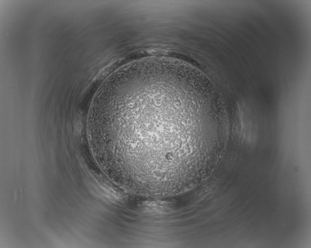 X0000077990367200610271116