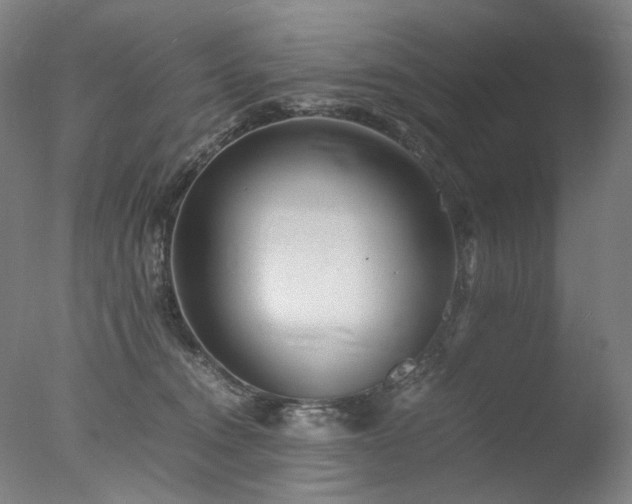 X0000077990372200610271117