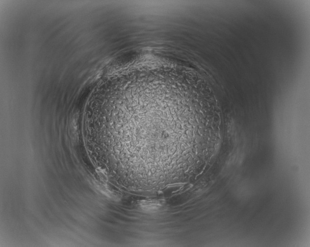 X0000077990373200610271117