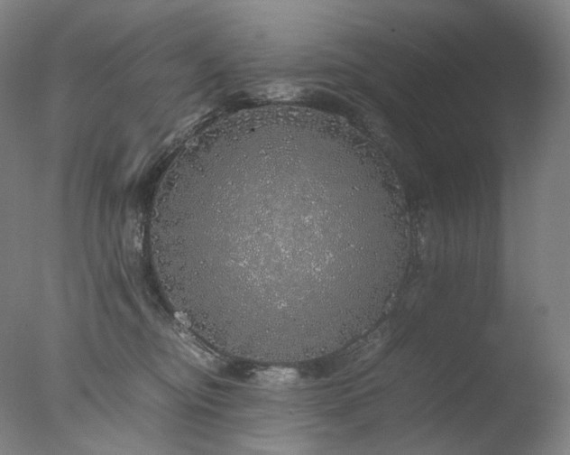 X0000077990374200610271117