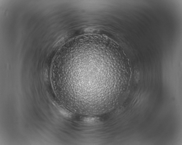 X0000077990375200610271117