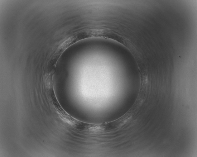 X0000077990383200610271117