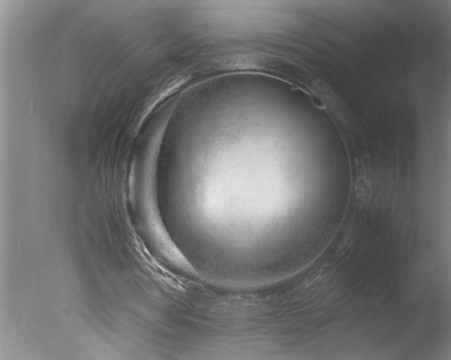 X0000077990386200610271116