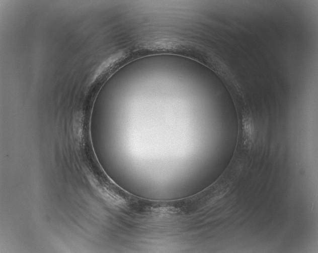 X0000077990396200610271116