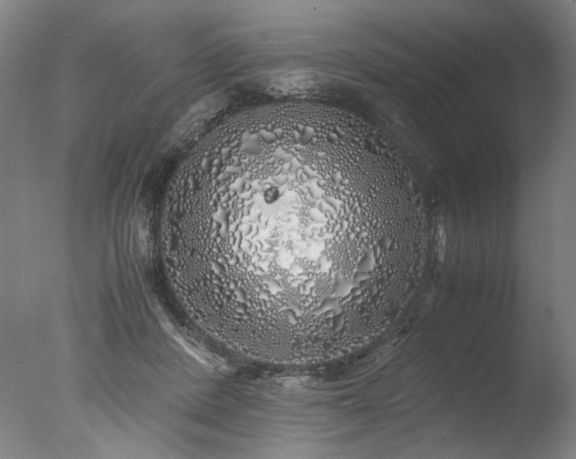 X0000077990408200610271116