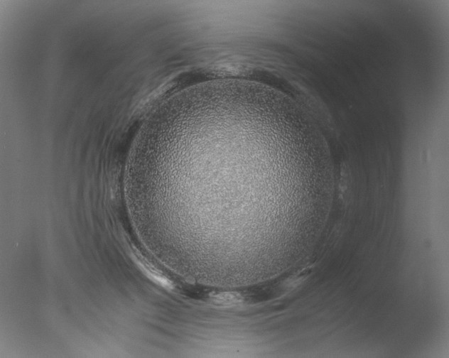 X0000077990409200610271116