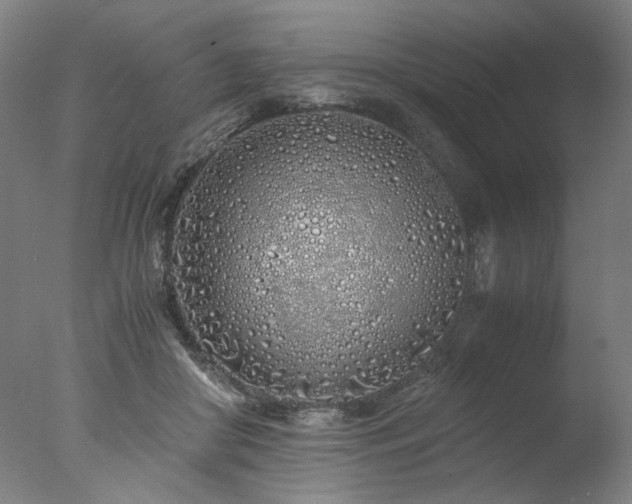 X0000077990410200610271116