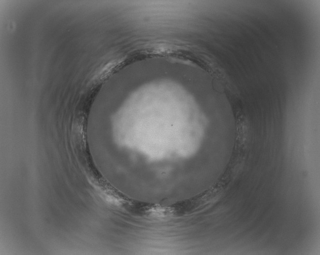 X0000077990415200610271115