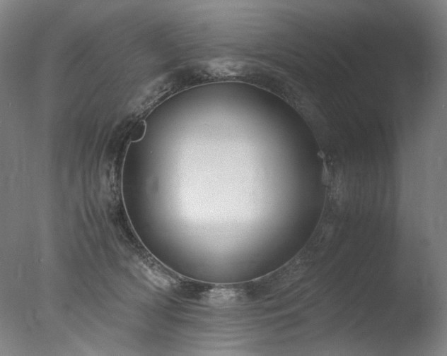 X0000077990418200610271115