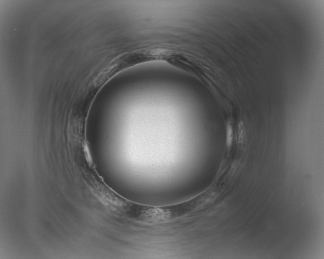 X0000077990421200610271115