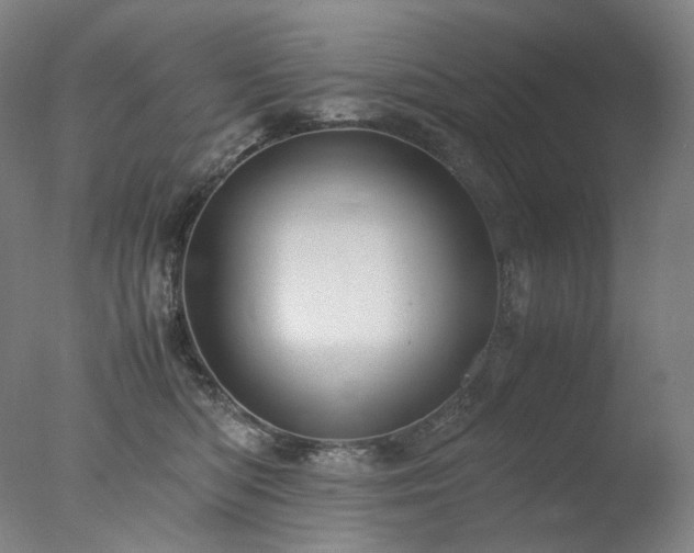 X0000077990422200610271115