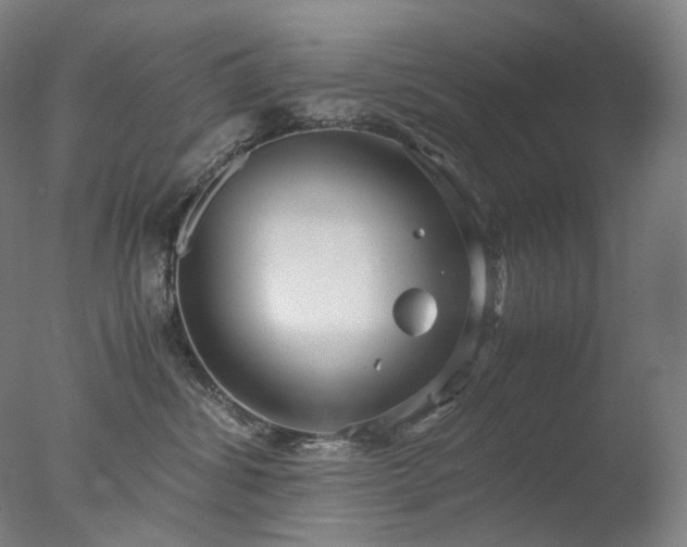 X0000077990428200610271115