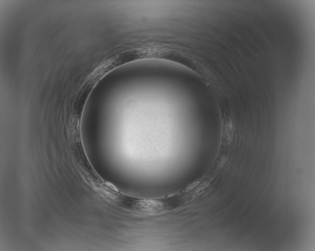 X0000077990429200610271115