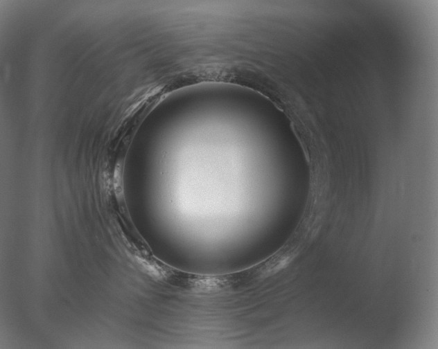 X0000077990432200610271115