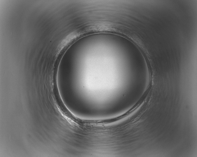 X0000077990438200610271114