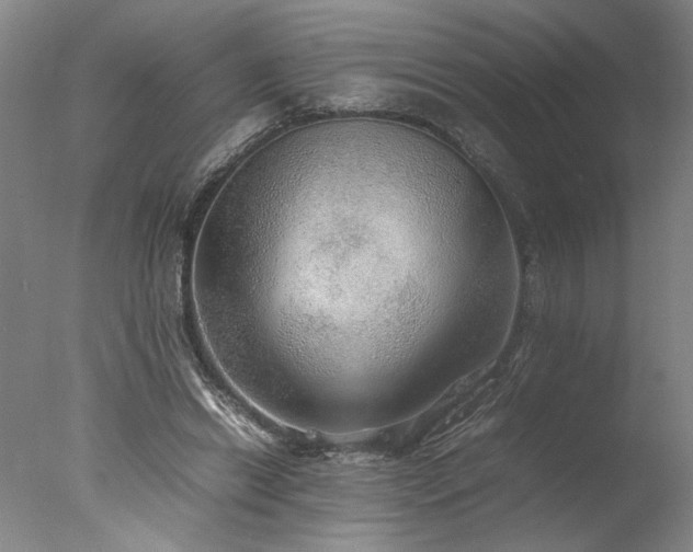 X0000077990446200610271115