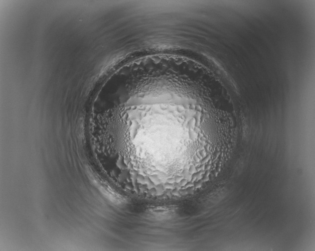 X0000077990447200610271115